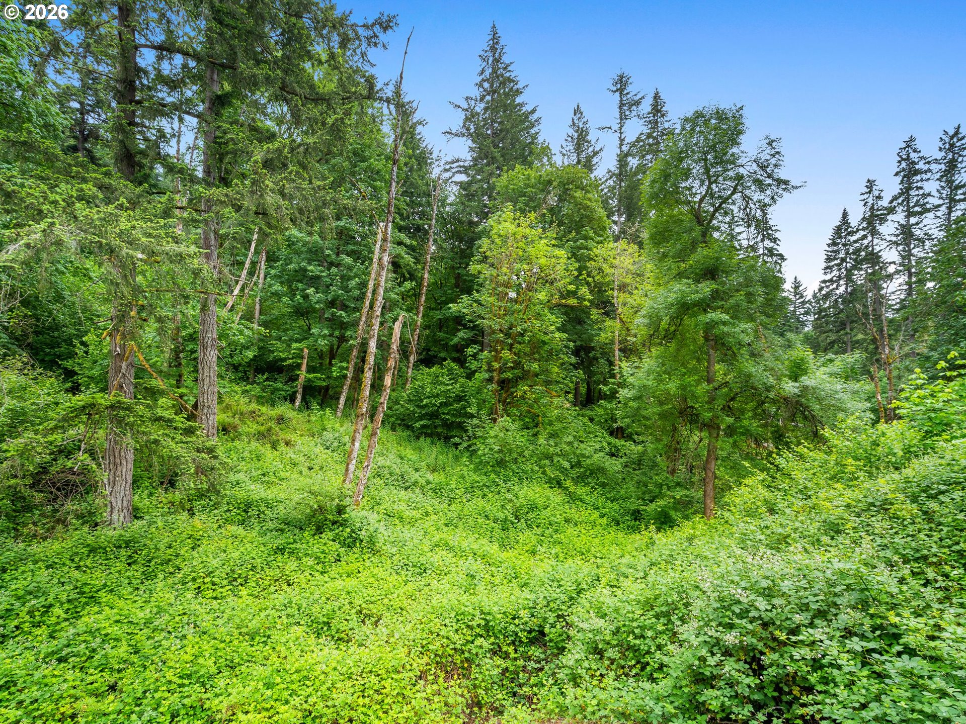 16110 South Maplelane Road Oregon City, OR 97045 - Photo 41 of 47
