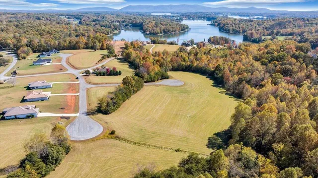 a view of a swimming pool with a lot of trees in the background