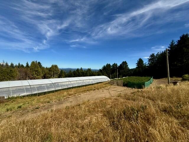 9320 Wilder Ridge Road Garberville, CA 95542 - Photo 58 of 60