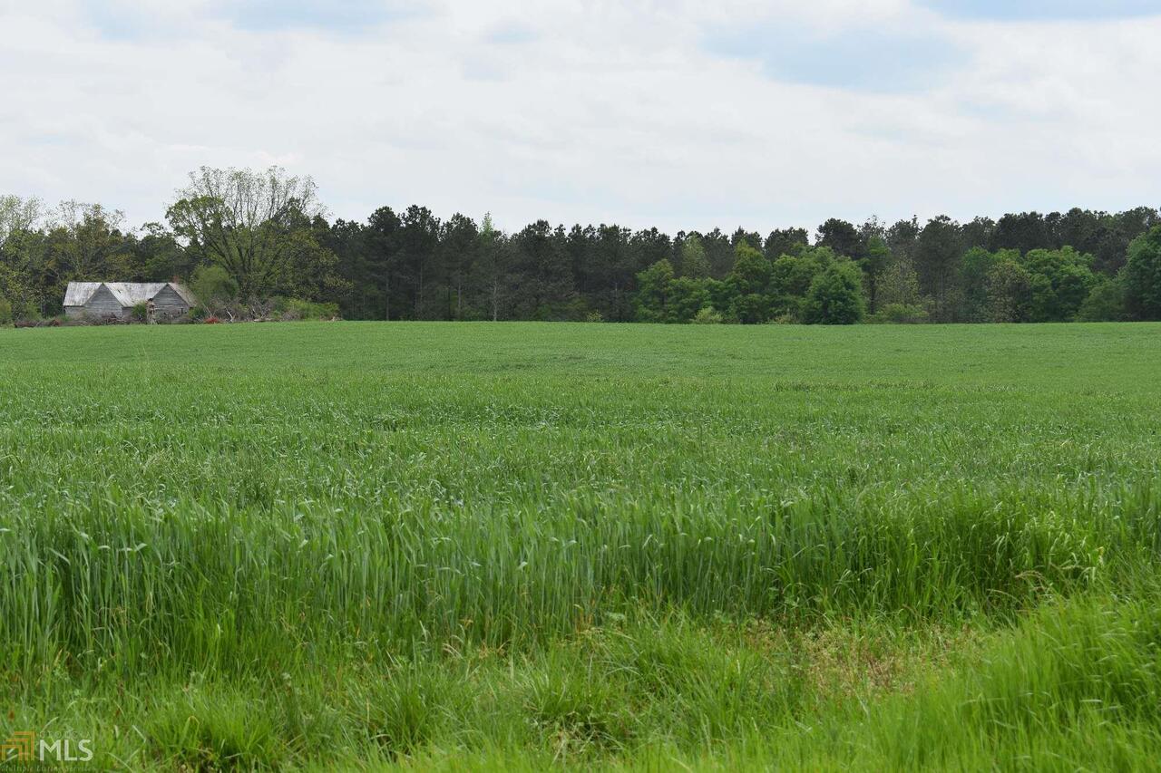 0 Devils Pond Road Crawford, GA 30630 - Photo 1 of 1 a view of field with trees in the background