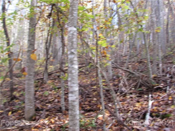 $72,000 | 8 Red Wolf Run, Unit NONE, Mars Hill, NC 28754