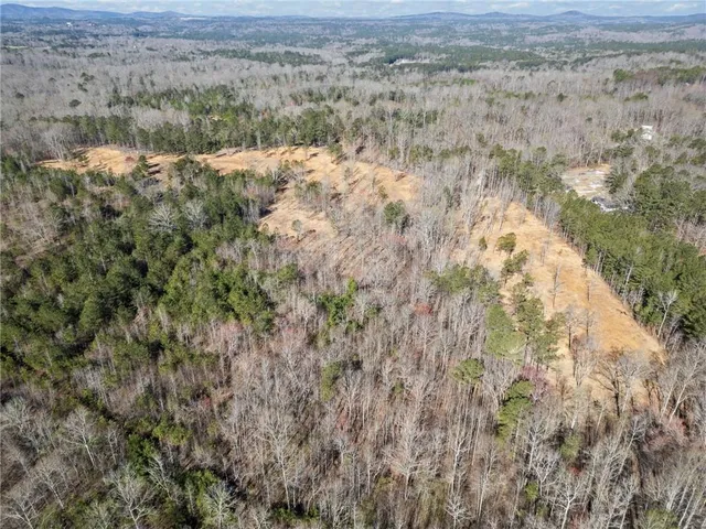 a view of a pathway with a yard