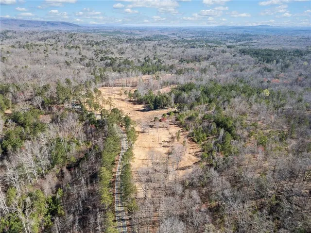 a view of a field with lots of trees