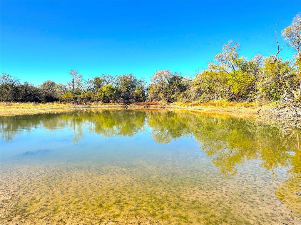 1849 2 Bush Road Perrin, TX 76486 - Photo 10 of 40