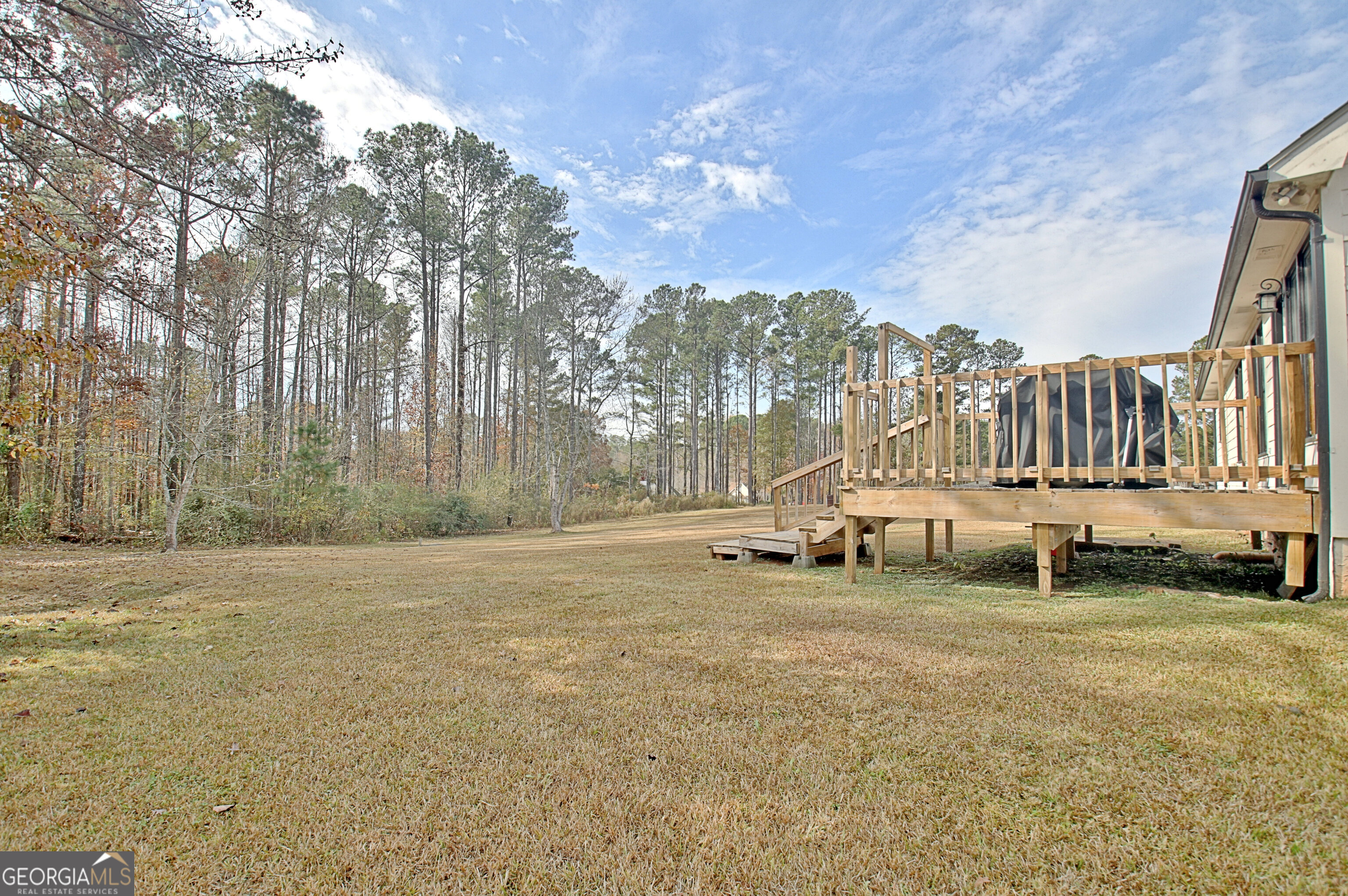 104 Blue Ridge Drive Newnan, GA 30265 - Photo 52 of 60 a view of a street with houses