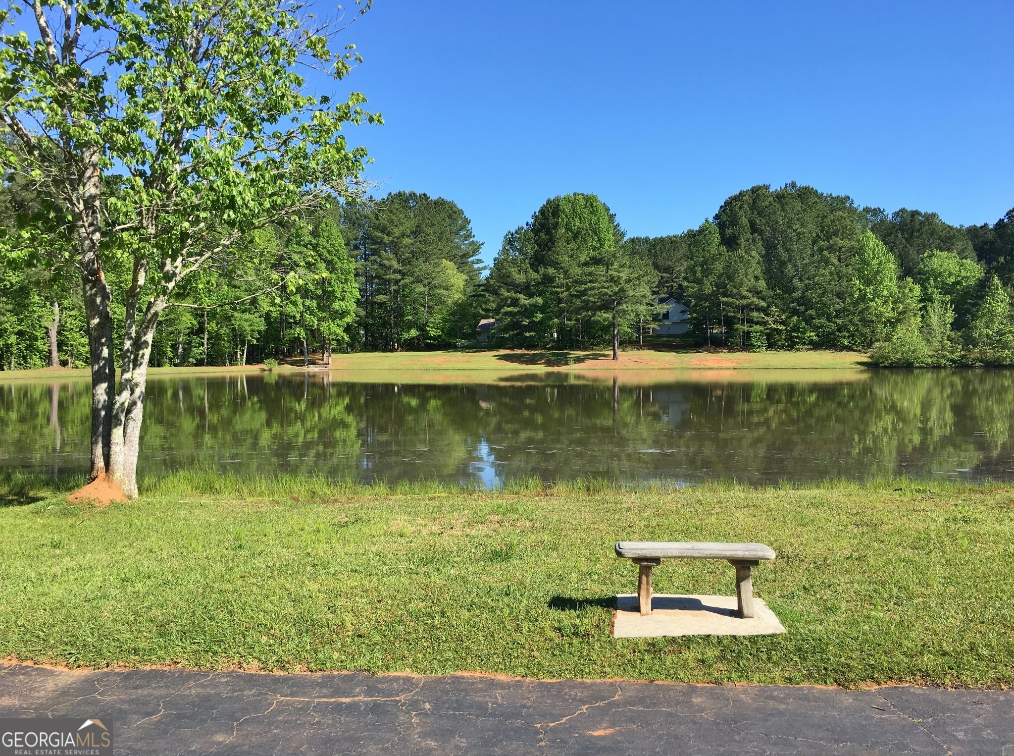 104 Blue Ridge Drive Newnan, GA 30265 - Photo 58 of 60