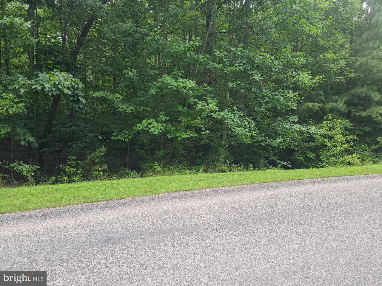 Lot 103 Hensley Road Mineral, VA 23117 - Photo 2 of 9 WOODED LOT WITH ROAD FRONTAGE
