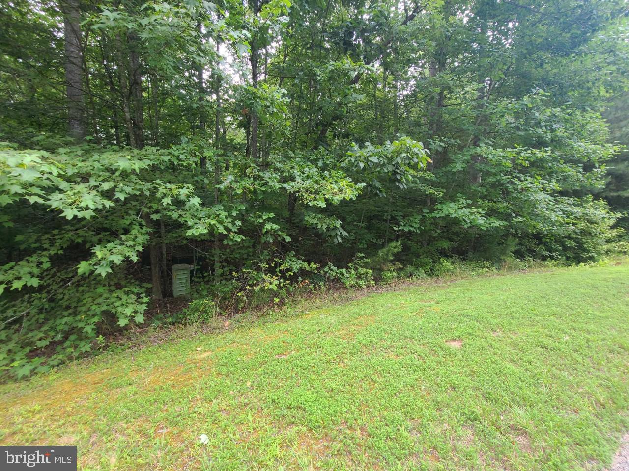 Lot 103 Hensley Road Mineral, VA 23117 - Photo 3 of 9 NICE HARDWOOD TREES