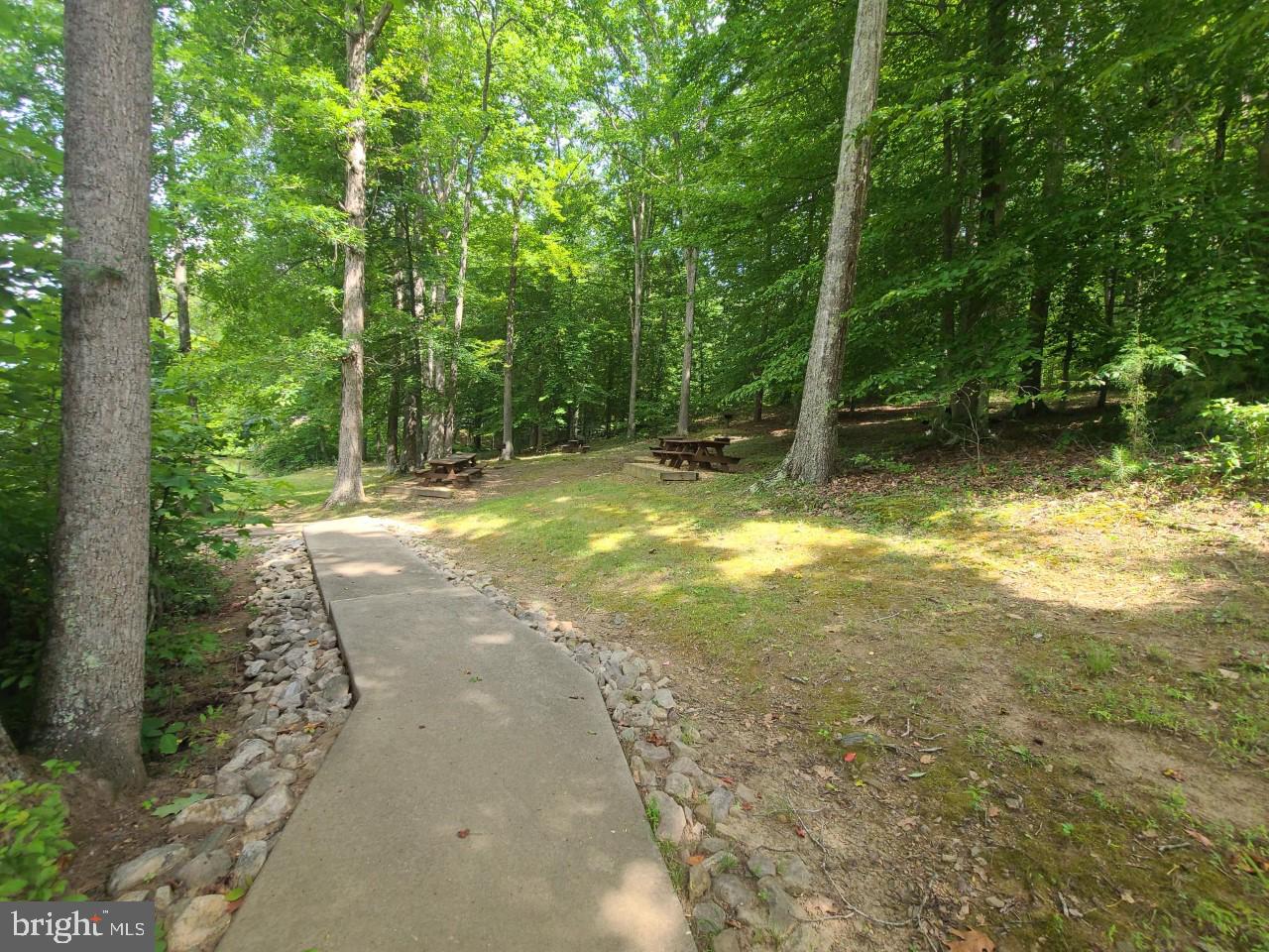Lot 103 Hensley Road Mineral, VA 23117 - Photo 7 of 9 FRESHWATER COMMON AREA