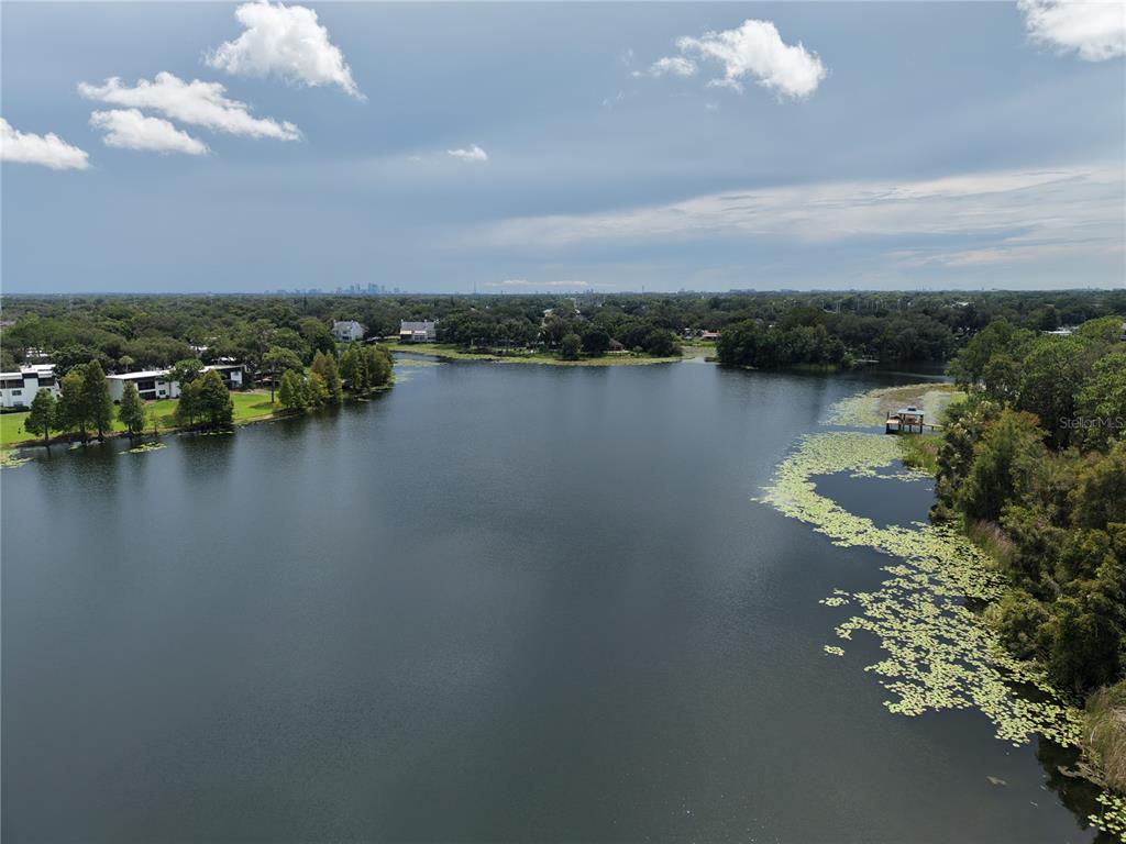 3714 Carrollbrook Road Tampa, FL 33618 - Photo 53 of 56 Gallery Image 53