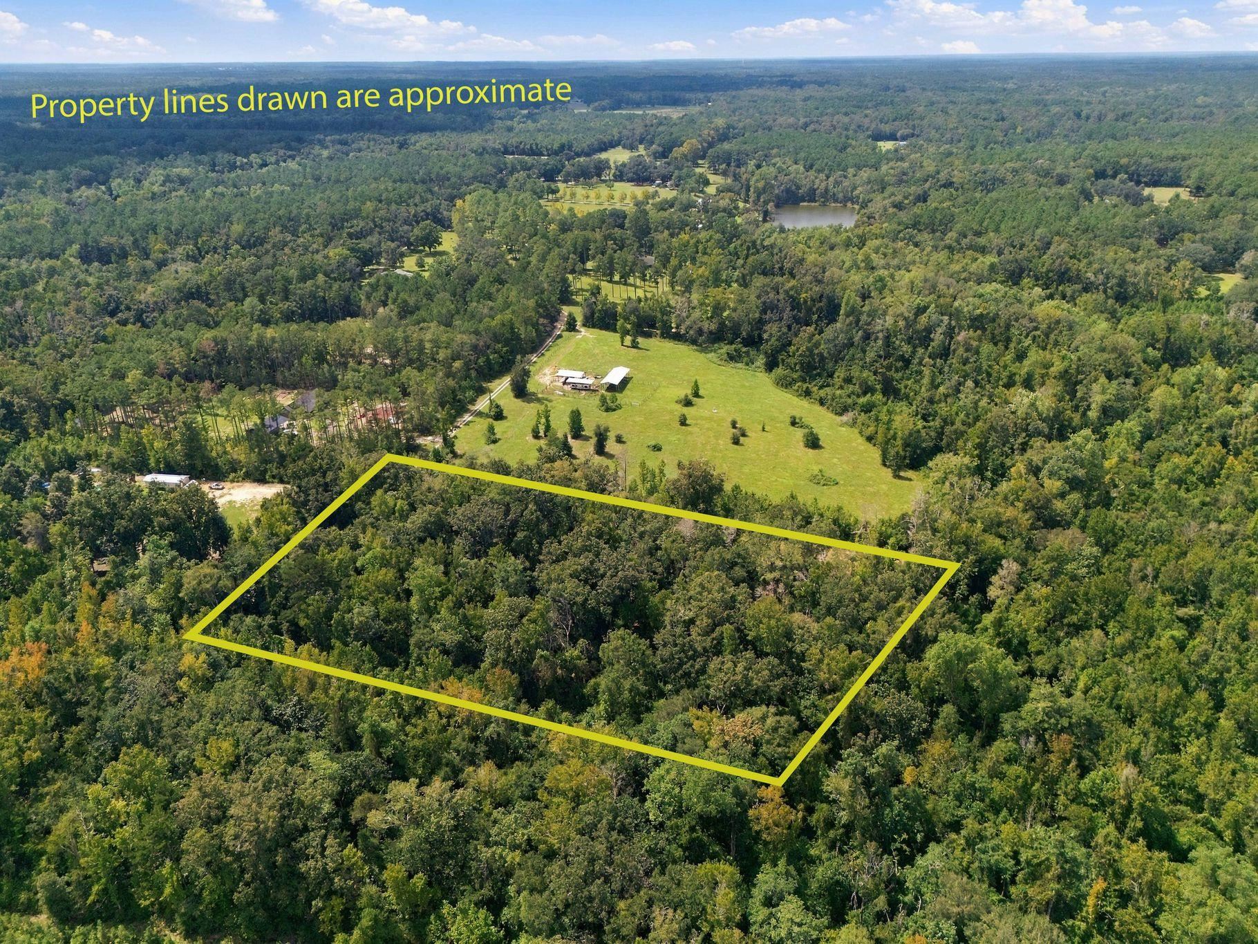 Lot 16 Johnny Road Lamont, FL 32336 - Photo 5 of 54 Gallery Image 5