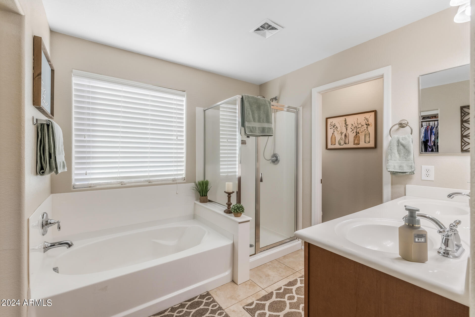 4209 East Bonanza Road Gilbert, AZ 85297 - Photo 23 of 48 23)MASTER BATH UP