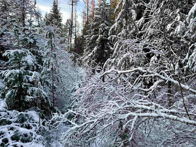 $77,000 | 8 Helmer Id 83823, Deary, ID 83823