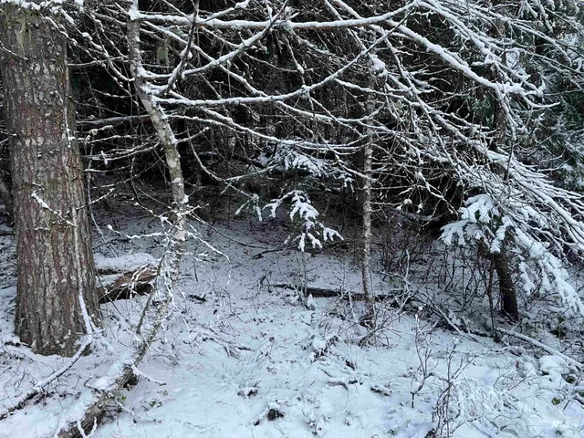 $77,000 | 8 Helmer Id 83823, Deary, ID 83823