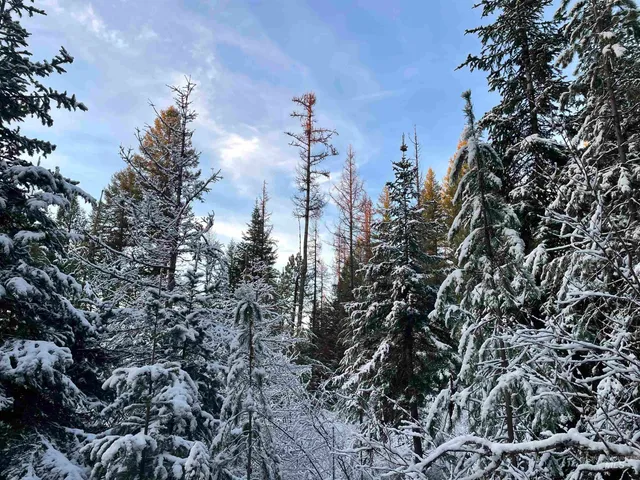 $77,000 | 8 Helmer Id 83823, Deary, ID 83823