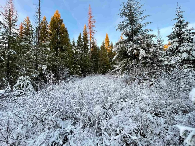 $77,000 | 8 Helmer Id 83823, Deary, ID 83823