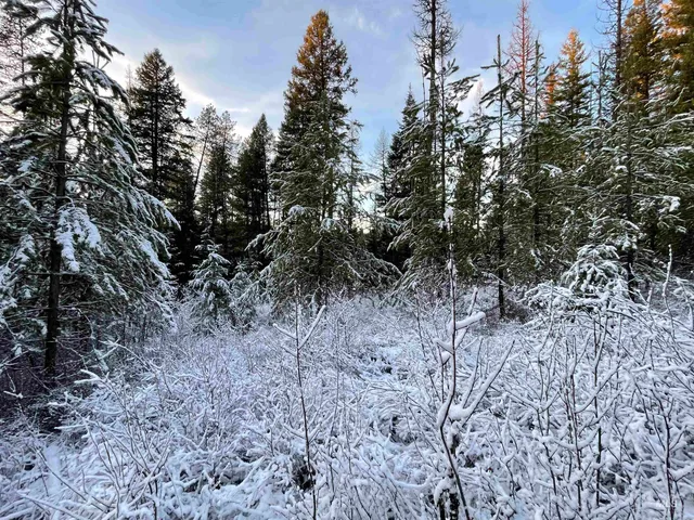 $77,000 | 8 Helmer Id 83823, Deary, ID 83823