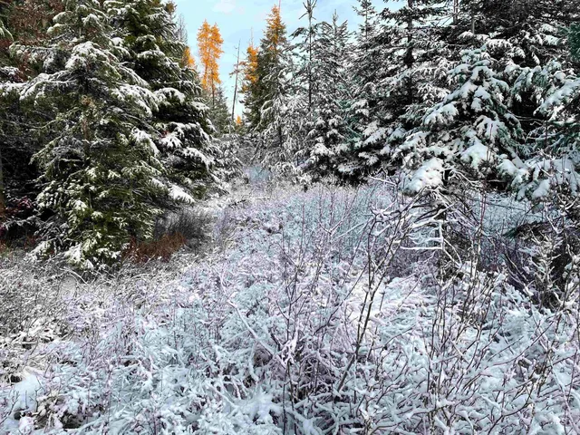 $77,000 | 8 Helmer Id 83823, Deary, ID 83823