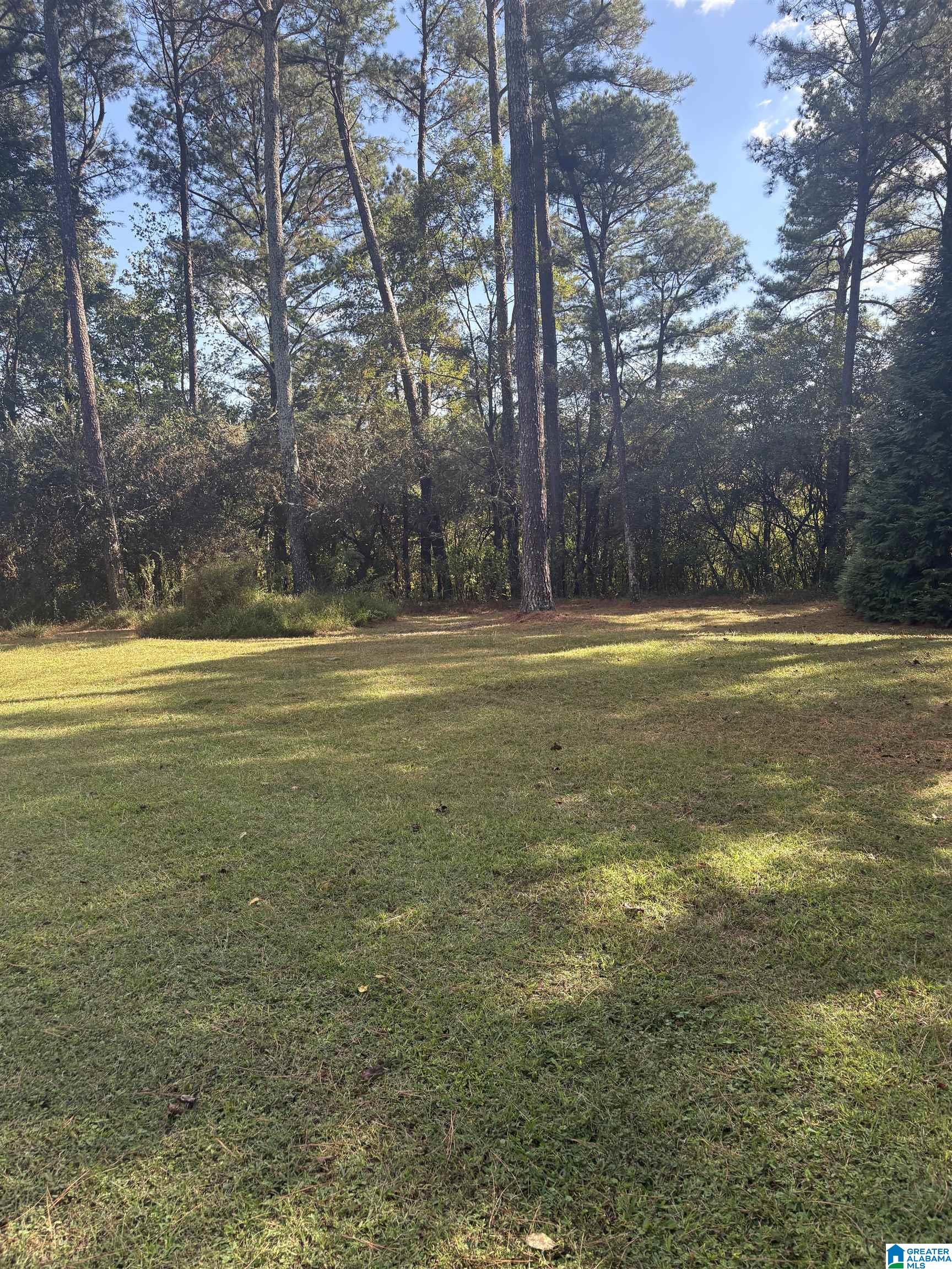 1055 Page Spring Road Blountsville, AL 35031 - Photo 22 of 22