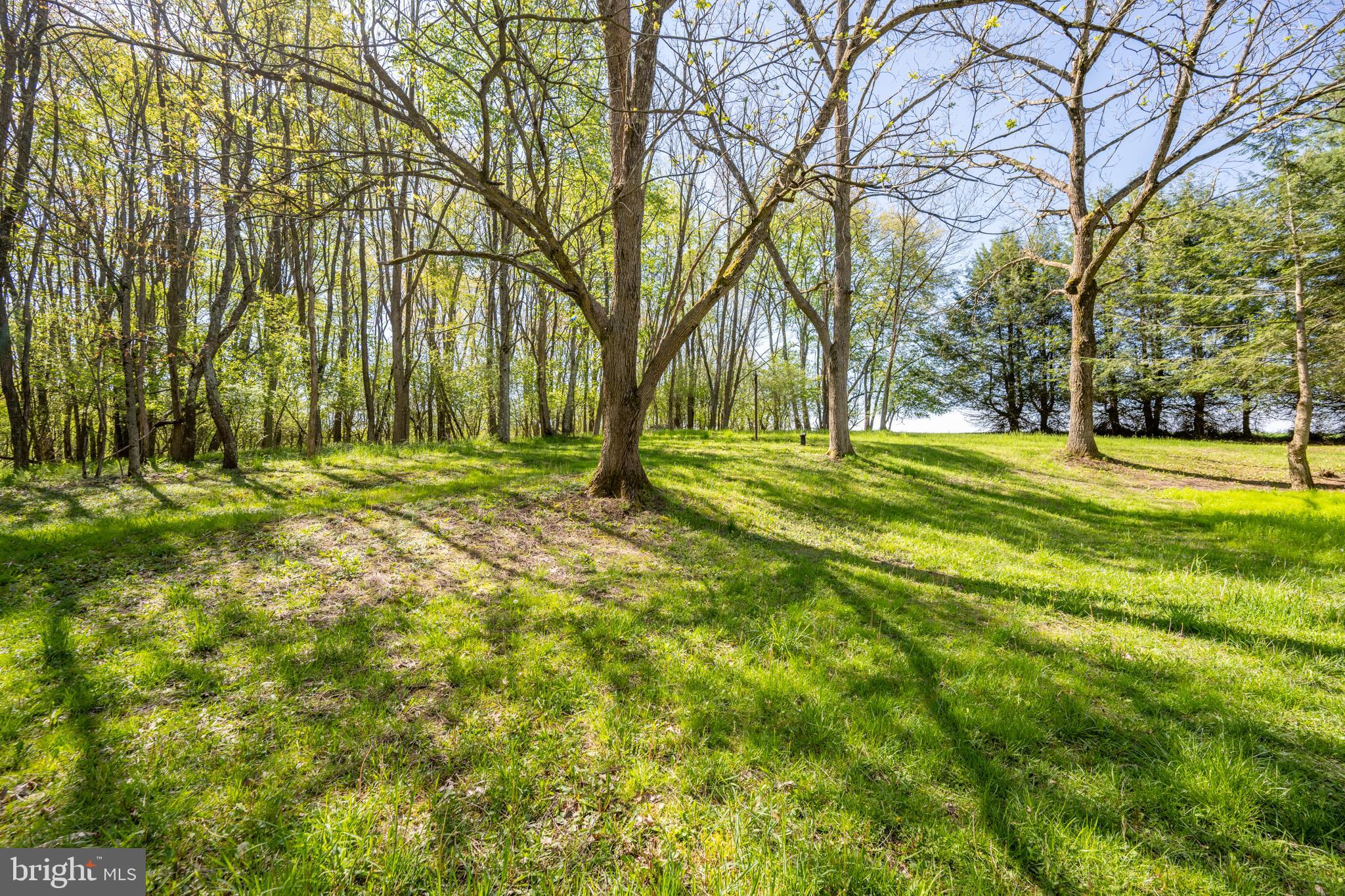 422 Underwood Road Oakland, MD 21550 - Photo 33 of 45 Gallery Image 33