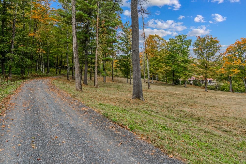 1849 North Puckerbrush Road Reading, VT 05062 - Photo 8 of 46