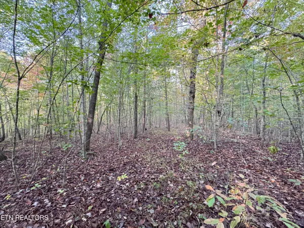 $109,000 | Lot 7 Crst Vw Drive, Sunbright, TN 37872