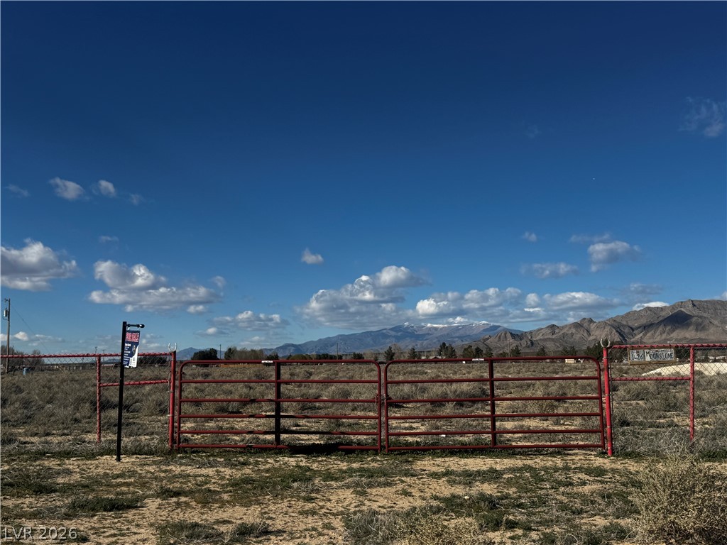 Moonstone Avenue Sandy Valley, NV 89019 - Photo 16 of 19