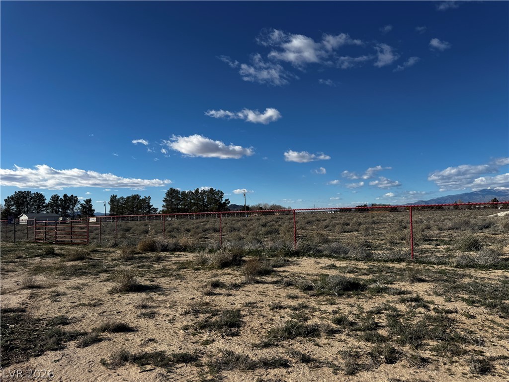Moonstone Avenue Sandy Valley, NV 89019 - Photo 3 of 19