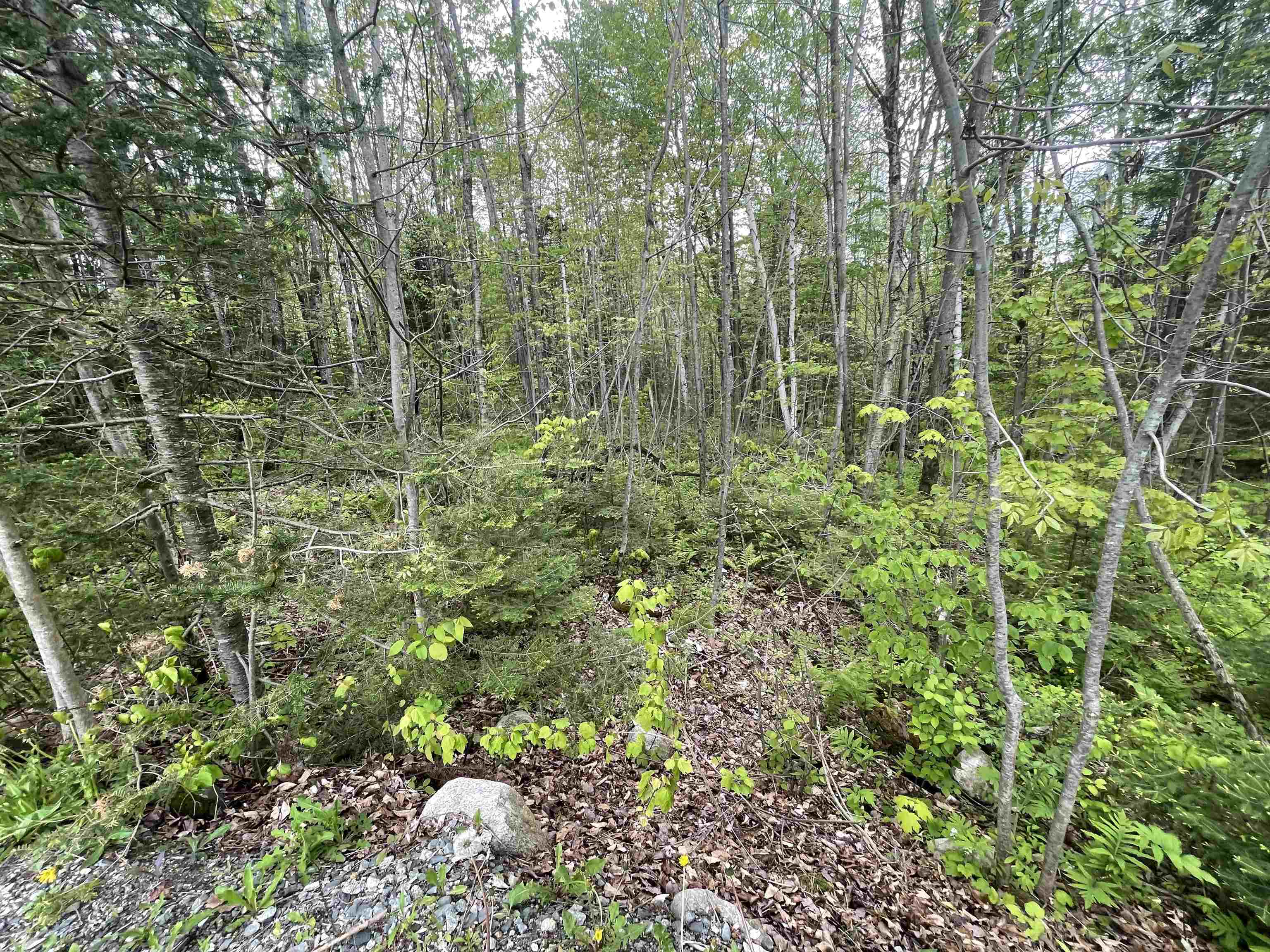 0 Bray Hill Road Whitefield, NH 03598 - Photo 8 of 9