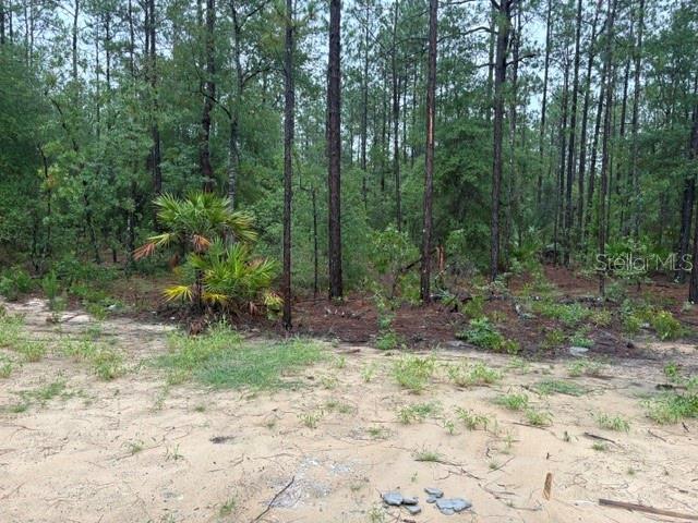 13510 Southwest 64th Street Road Ocala, FL 34481 - Photo 9 of 10
