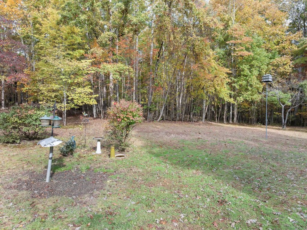 3711 Jumpoff Road Sewanee, TN 37375 - Photo 49 of 57 a backyard of a house with lots of green space