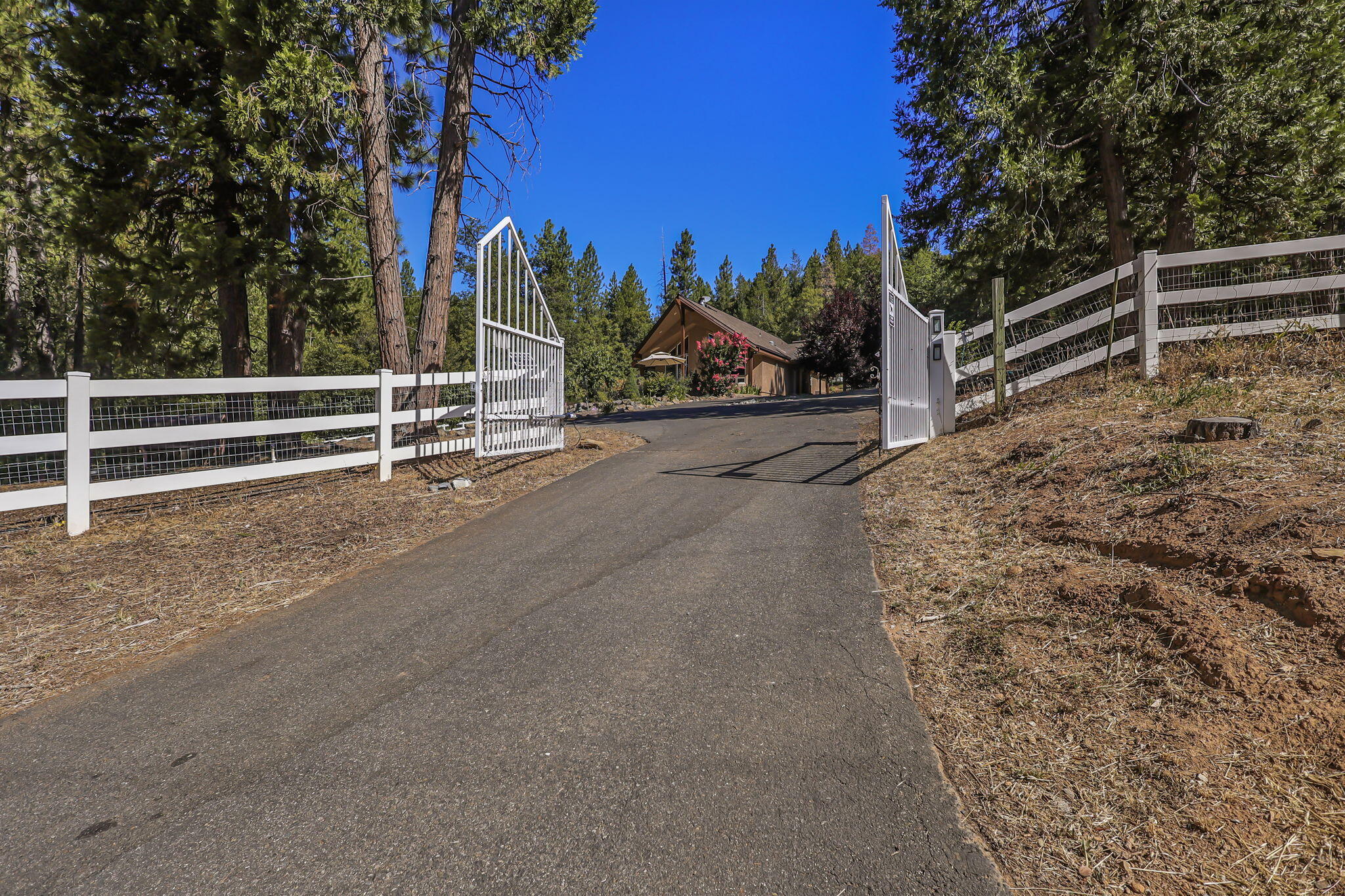 14703 Fern Road Whitmore, CA 96096 - Photo 31 of 48 a view of outdoor space and yard