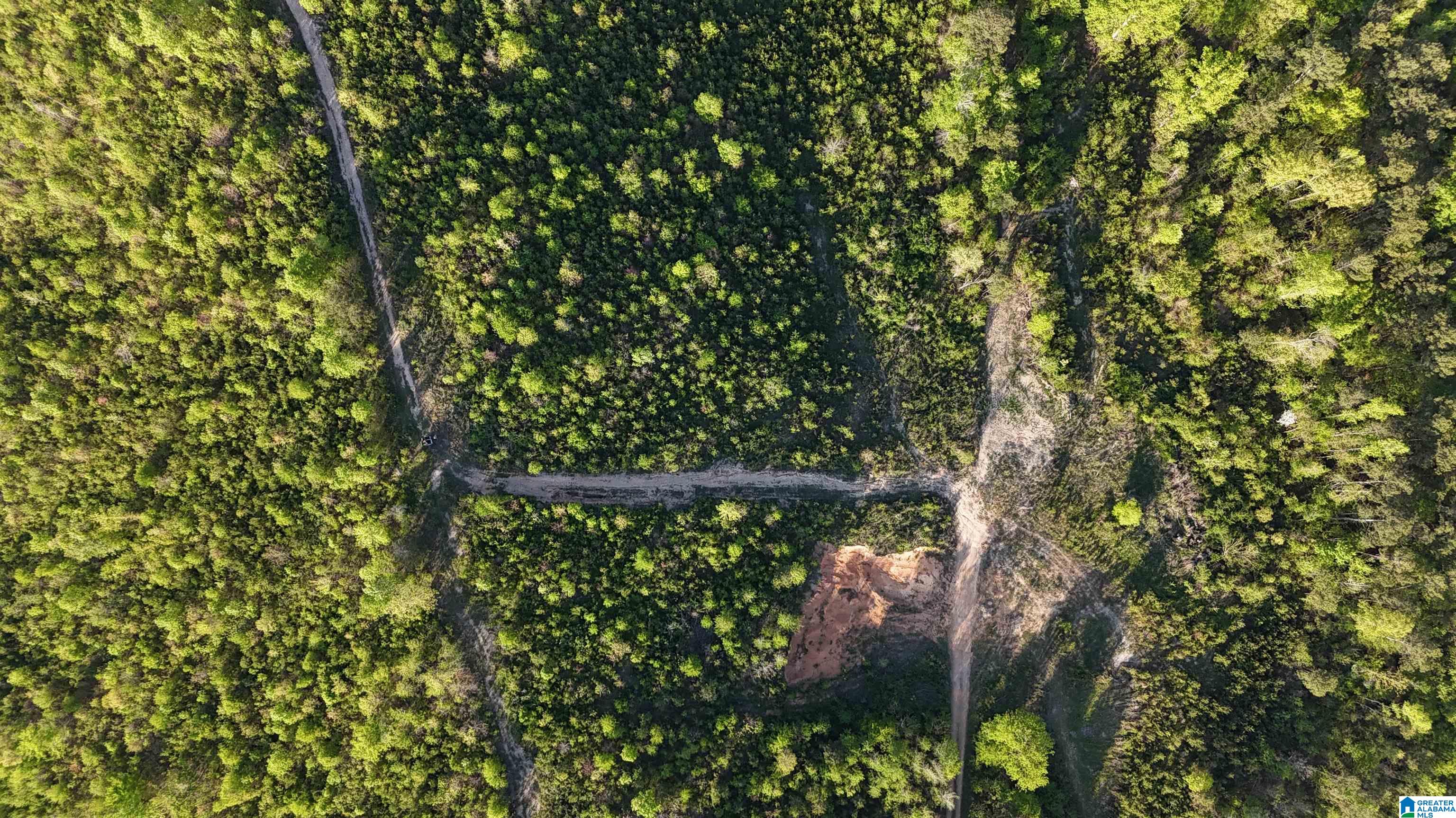 3410 Highway 132 Oneonta, AL 35121 - Photo 45 of 46