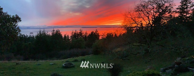 351 Hannah Road Friday Harbor, WA 98250 - Photo 29 of 31 Gallery Image 29