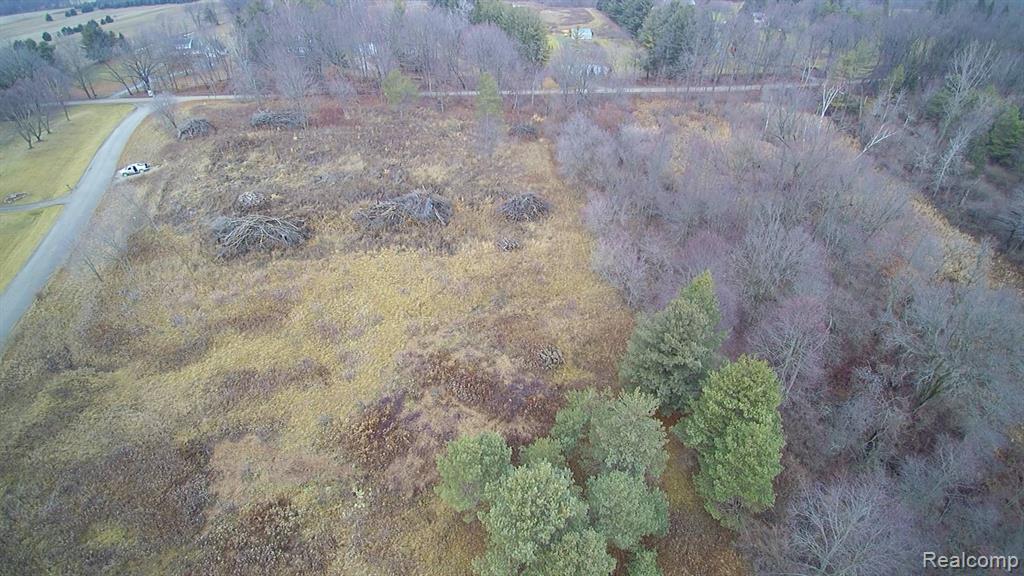 79922 Scottish Hills Lane Romeo, MI 48065 - Photo 6 of 8