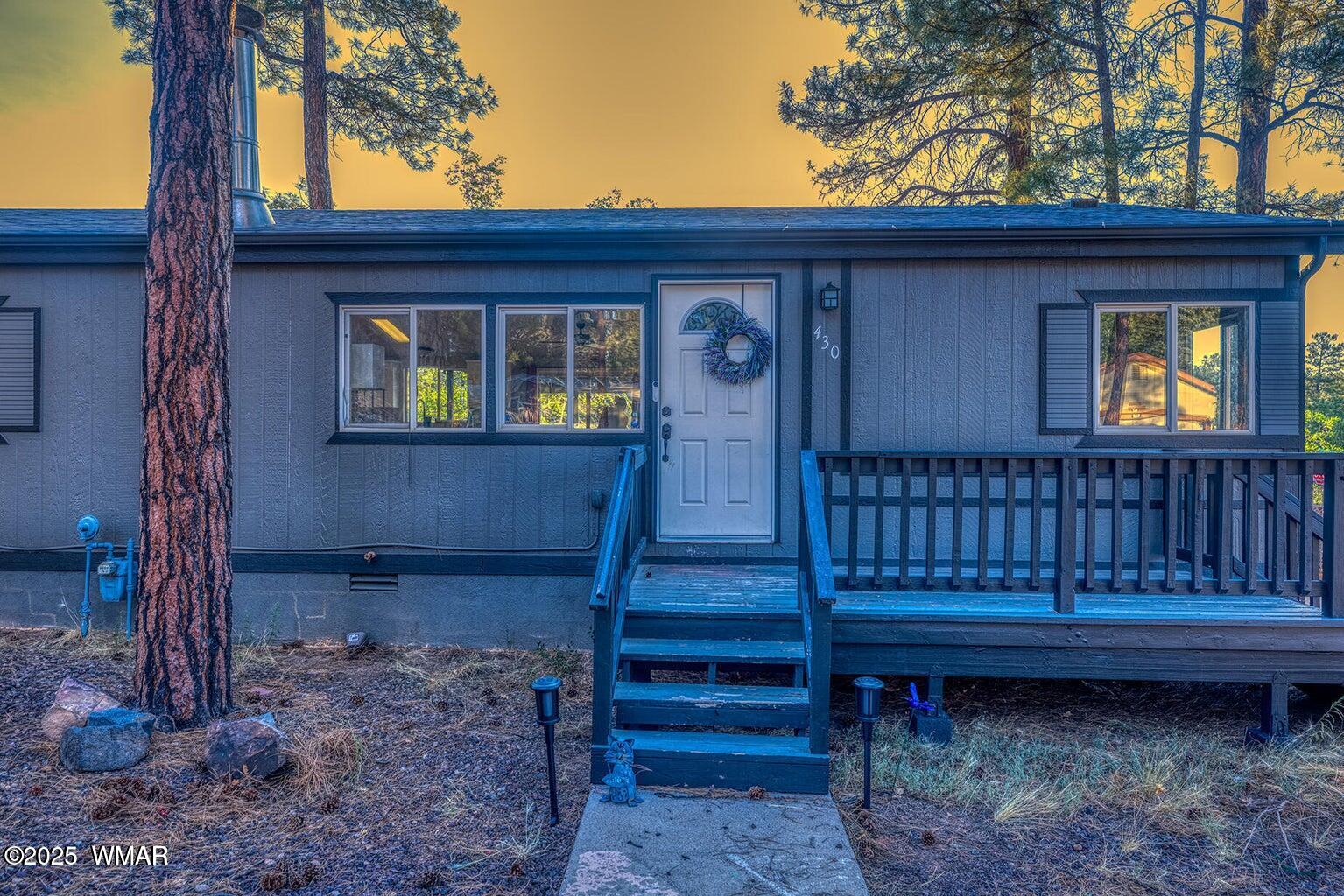 a view of a backyard with a chair and the tree