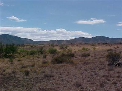 0 South Desert Road Pearce, AZ 85625 - Photo 2 of 3