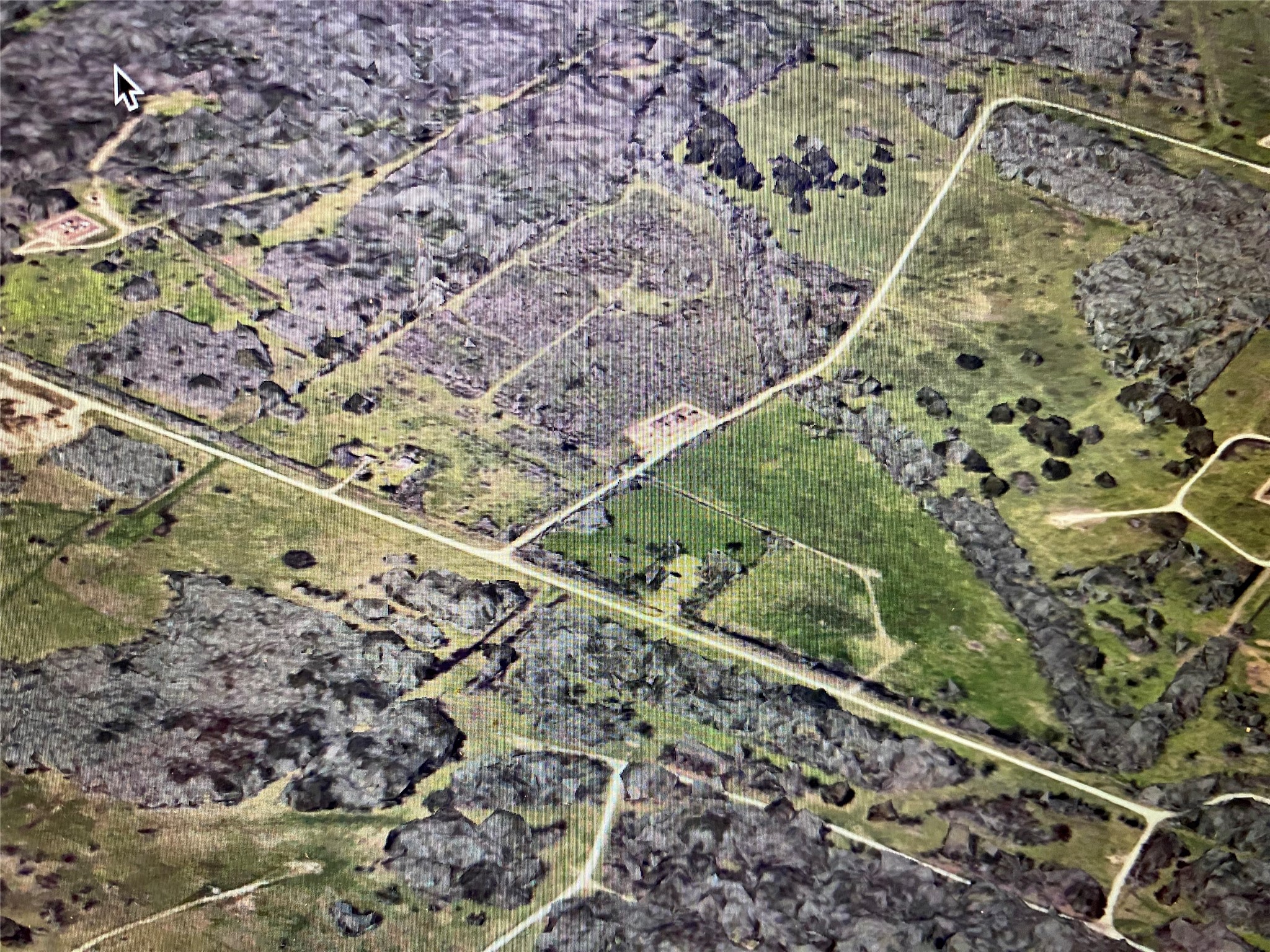 0 Texaco Road Thompsons, TX 77481 - Photo 1 of 1 a view of a yard with a forest