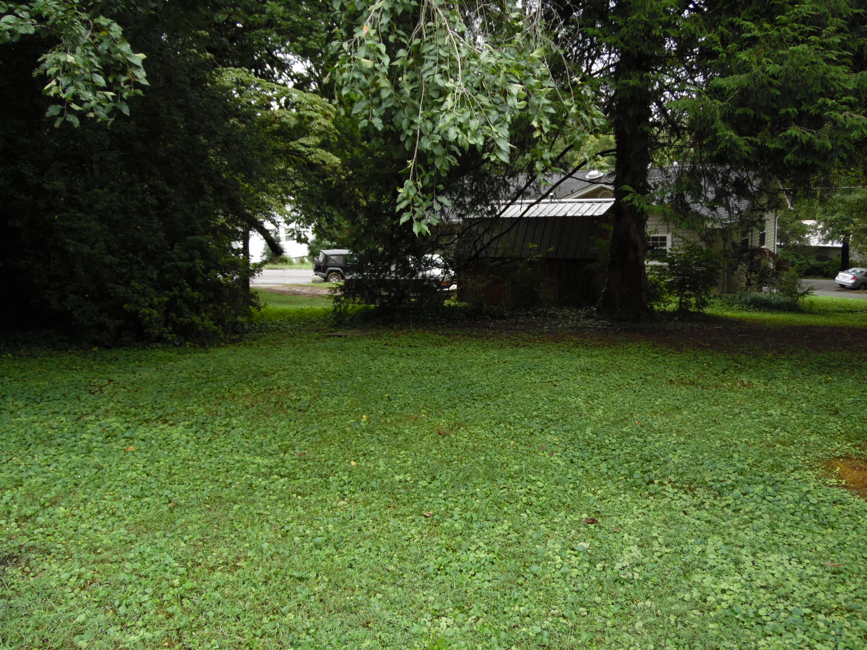 109 Upsal Road Oak Ridge, TN 37830 - Photo 21 of 24 Yard