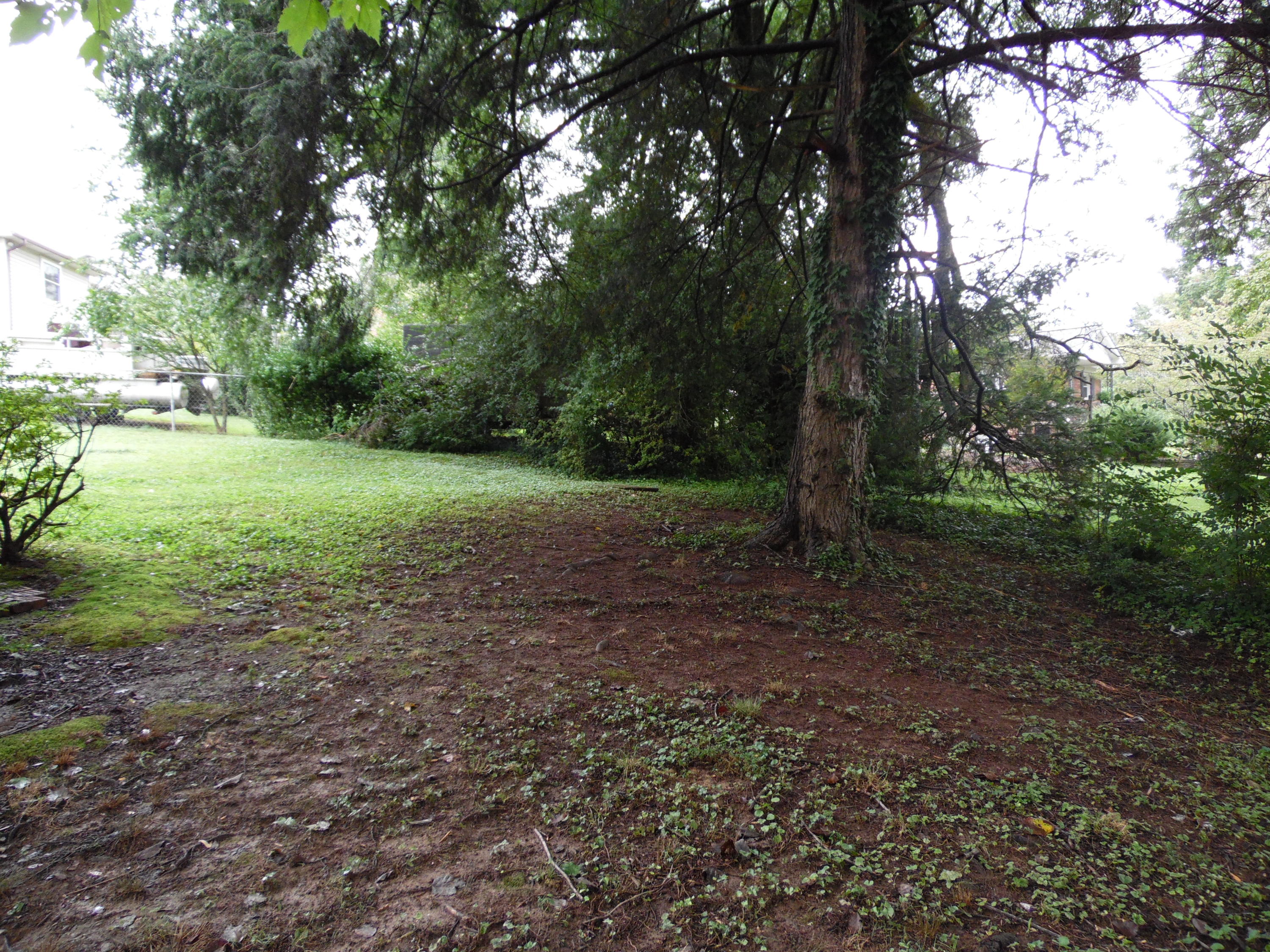 109 Upsal Road Oak Ridge, TN 37830 - Photo 22 of 24 Yard