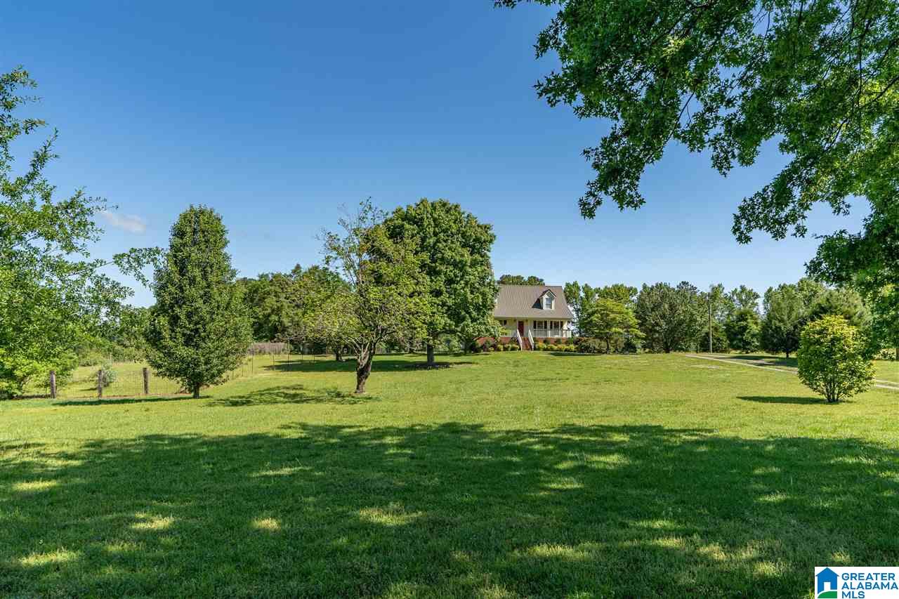 4523 Greathouse Road Dora, AL 35062 - Photo 3 of 50