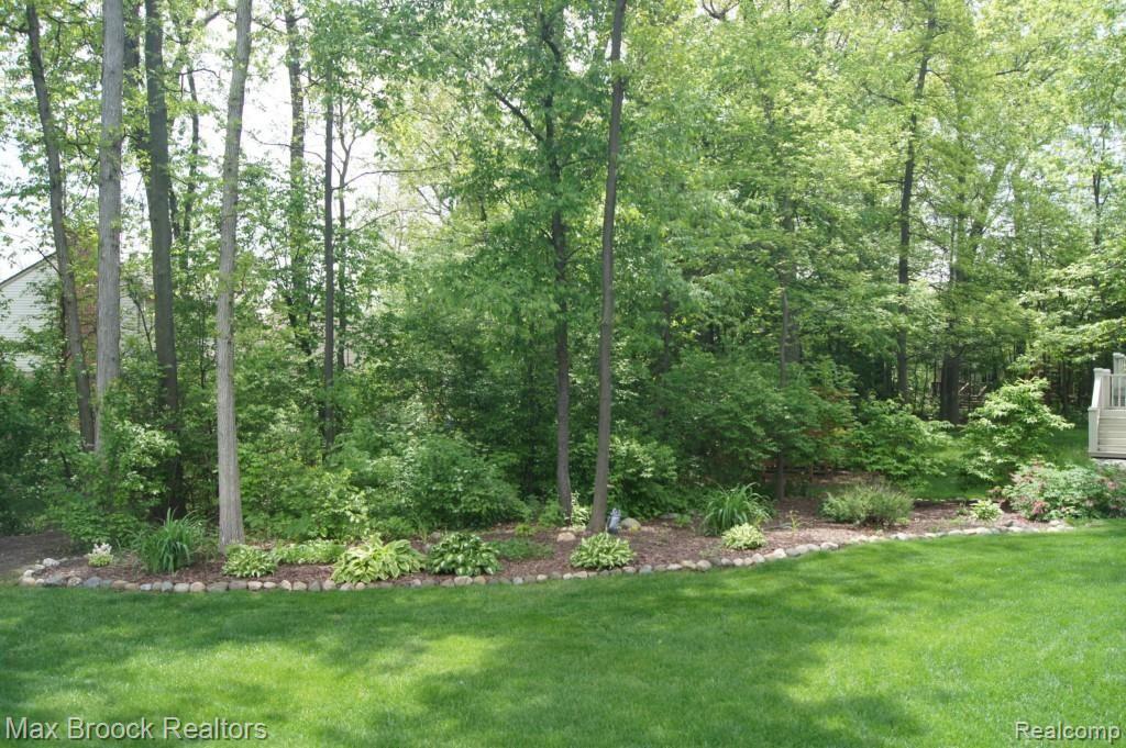 1189 Thames Drive Rochester, MI 48307 - Photo 21 of 22 Garden Landscaping with Natural Area