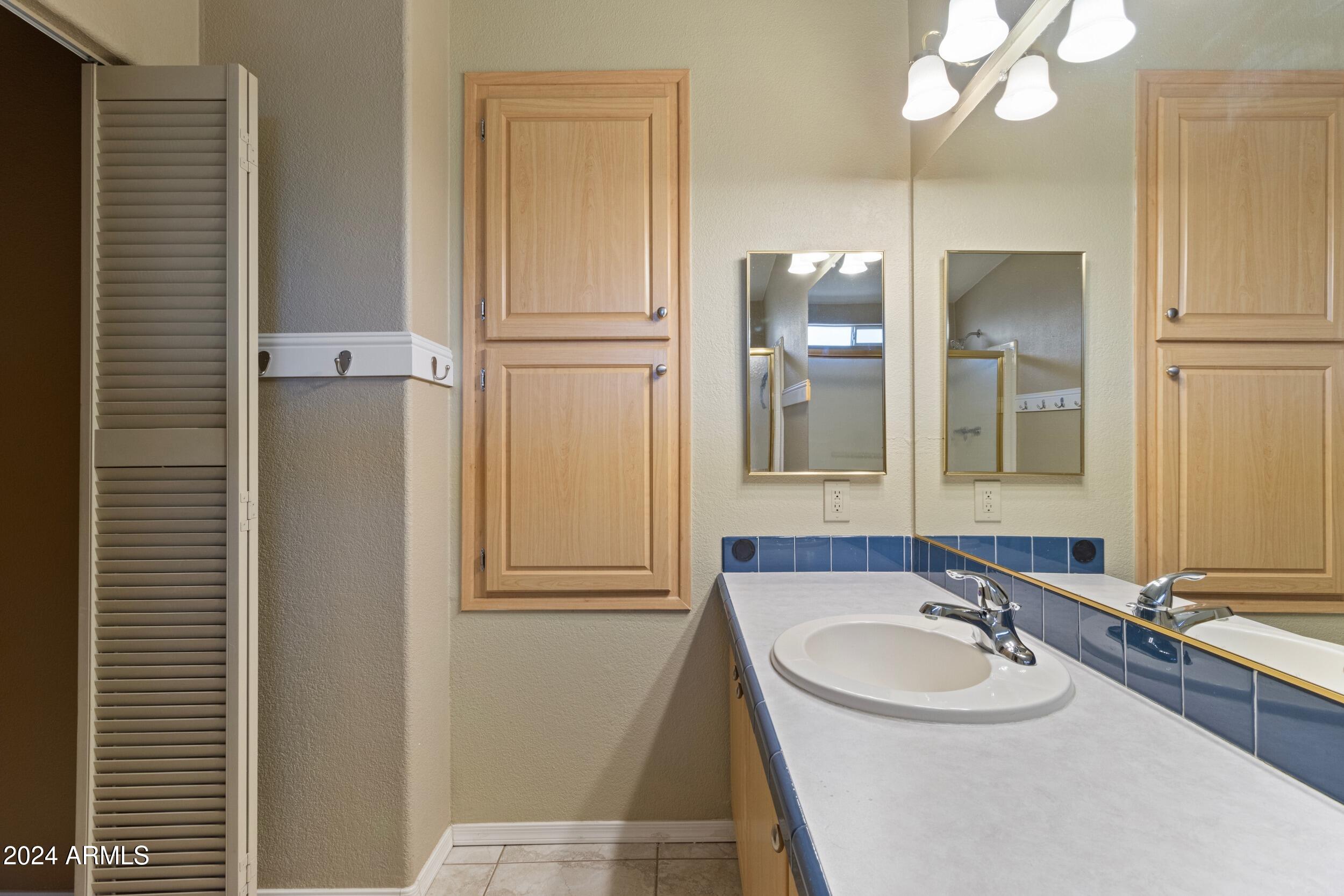 2550 South Ellsworth Road, Unit 215 Mesa, AZ 85209 - Photo 18 of 55 Primary Bathroom