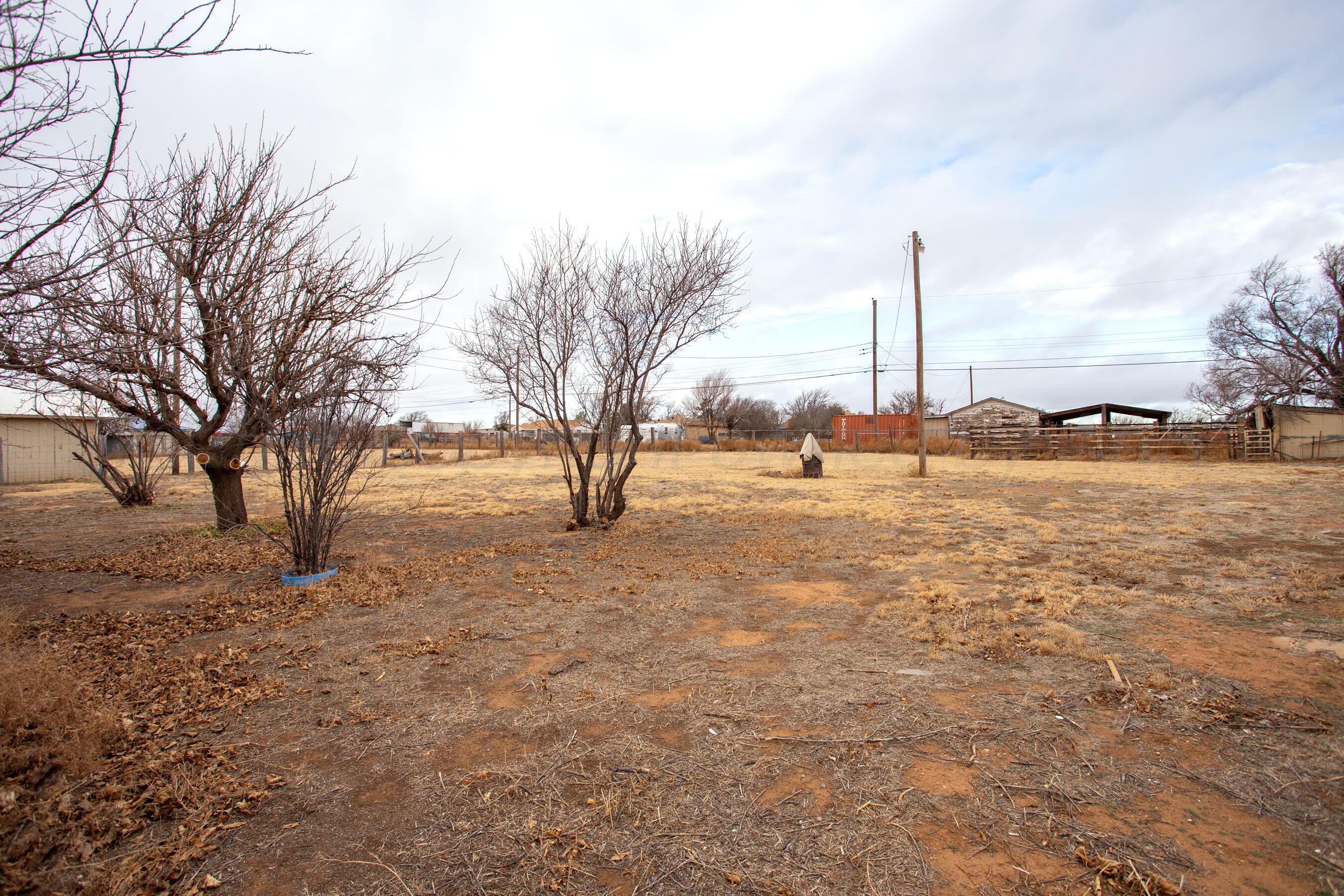 106 Renegade Trail Amarillo, TX 79108 - Photo 23 of 33 a view of ocean with a tree