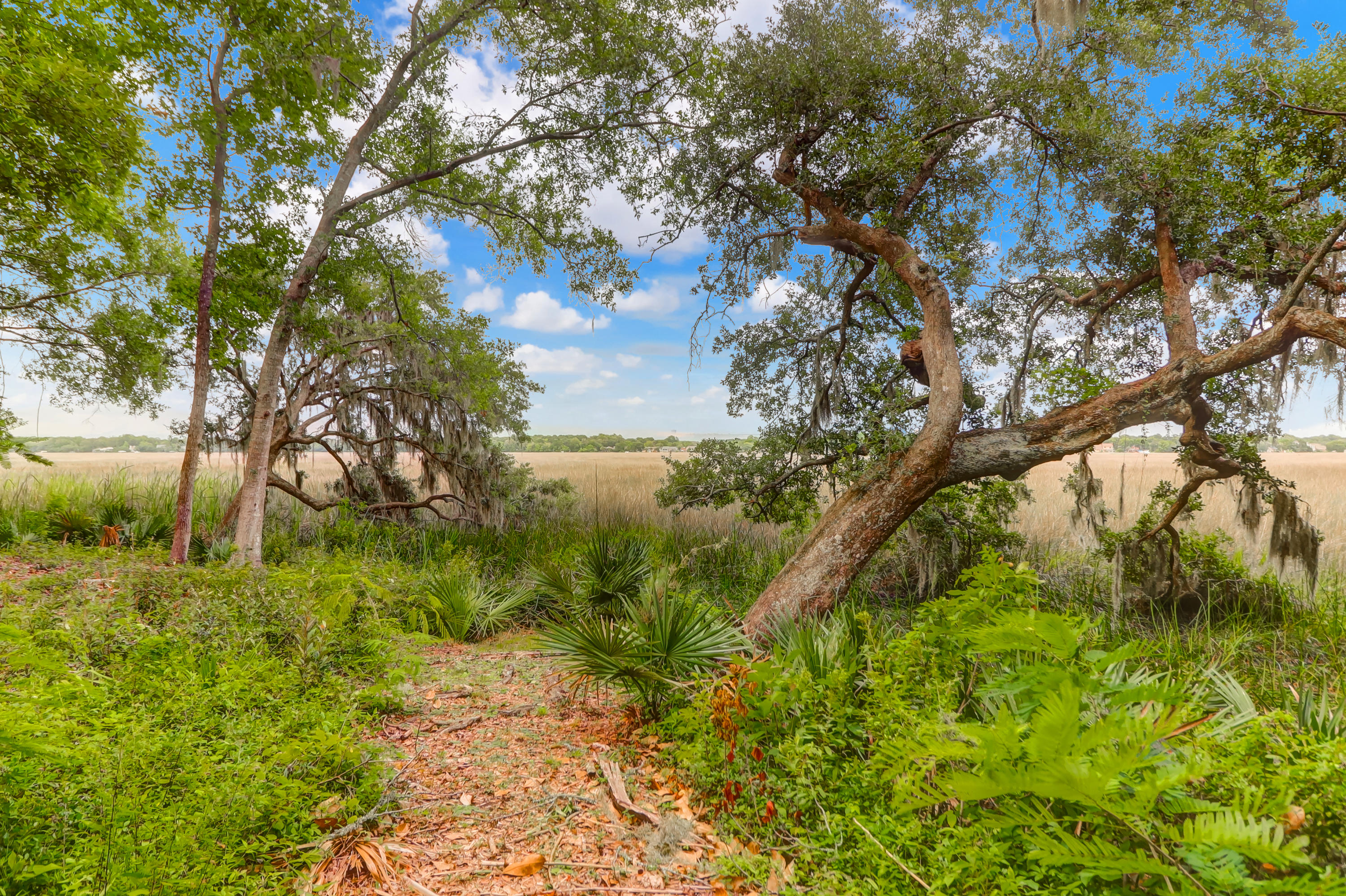 406 Rhett Butler Drive Charleston, SC 29414 - Photo 3 of 52 Backyard & Marsh