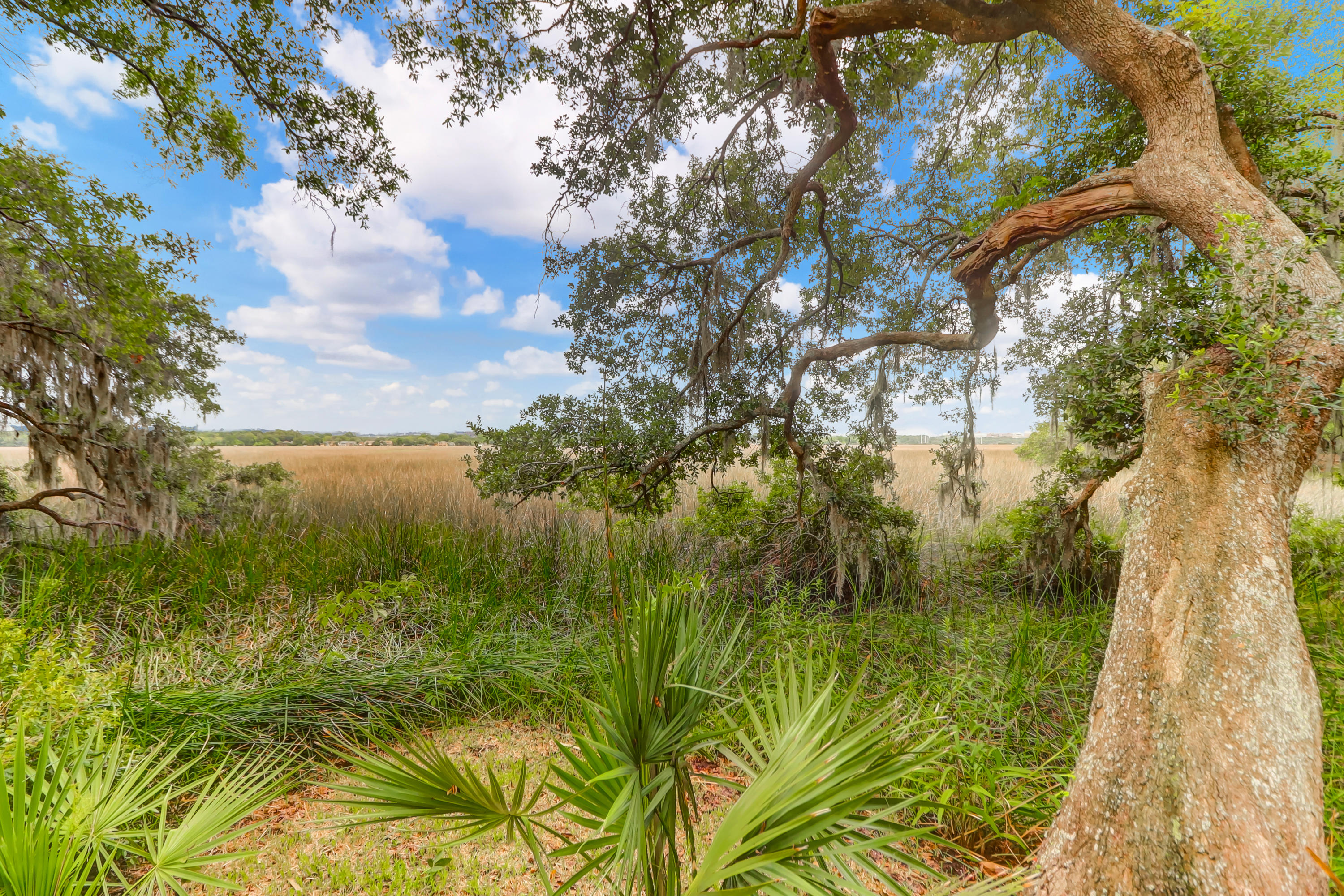 406 Rhett Butler Drive Charleston, SC 29414 - Photo 4 of 52 Backyard & Marsh