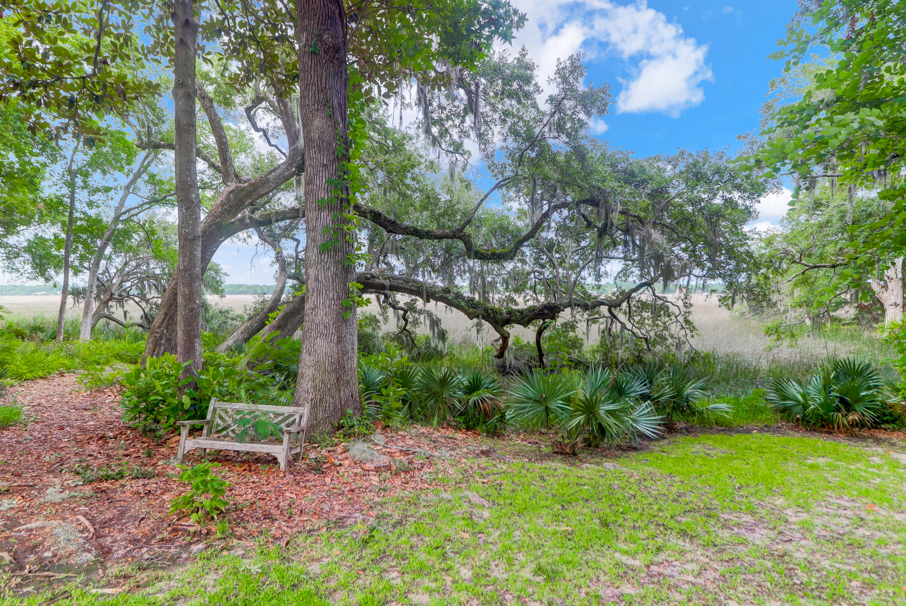 406 Rhett Butler Drive Charleston, SC 29414 - Photo 42 of 52 Backyard & Marsh