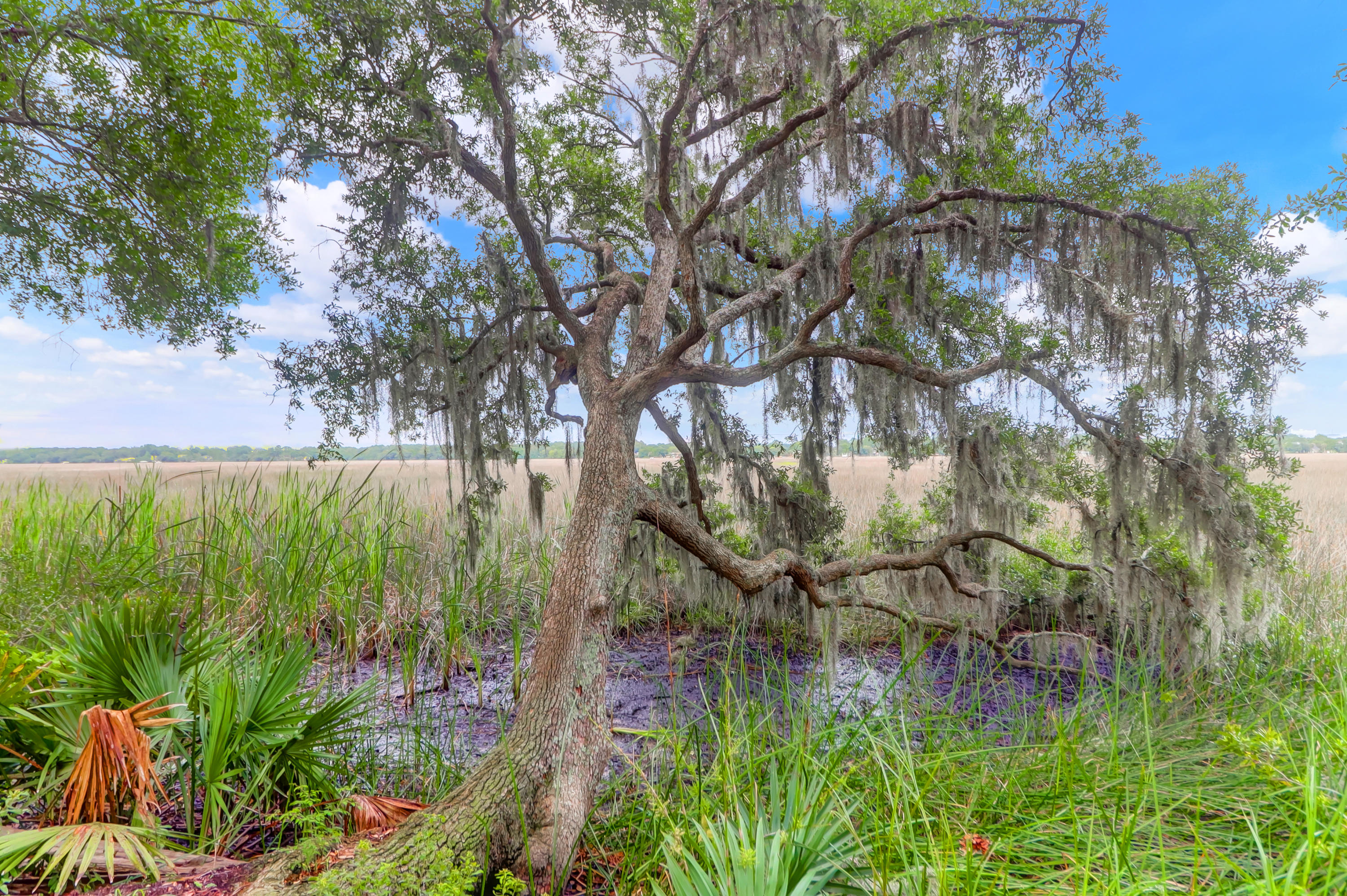 406 Rhett Butler Drive Charleston, SC 29414 - Photo 43 of 52 Backyard & Marsh