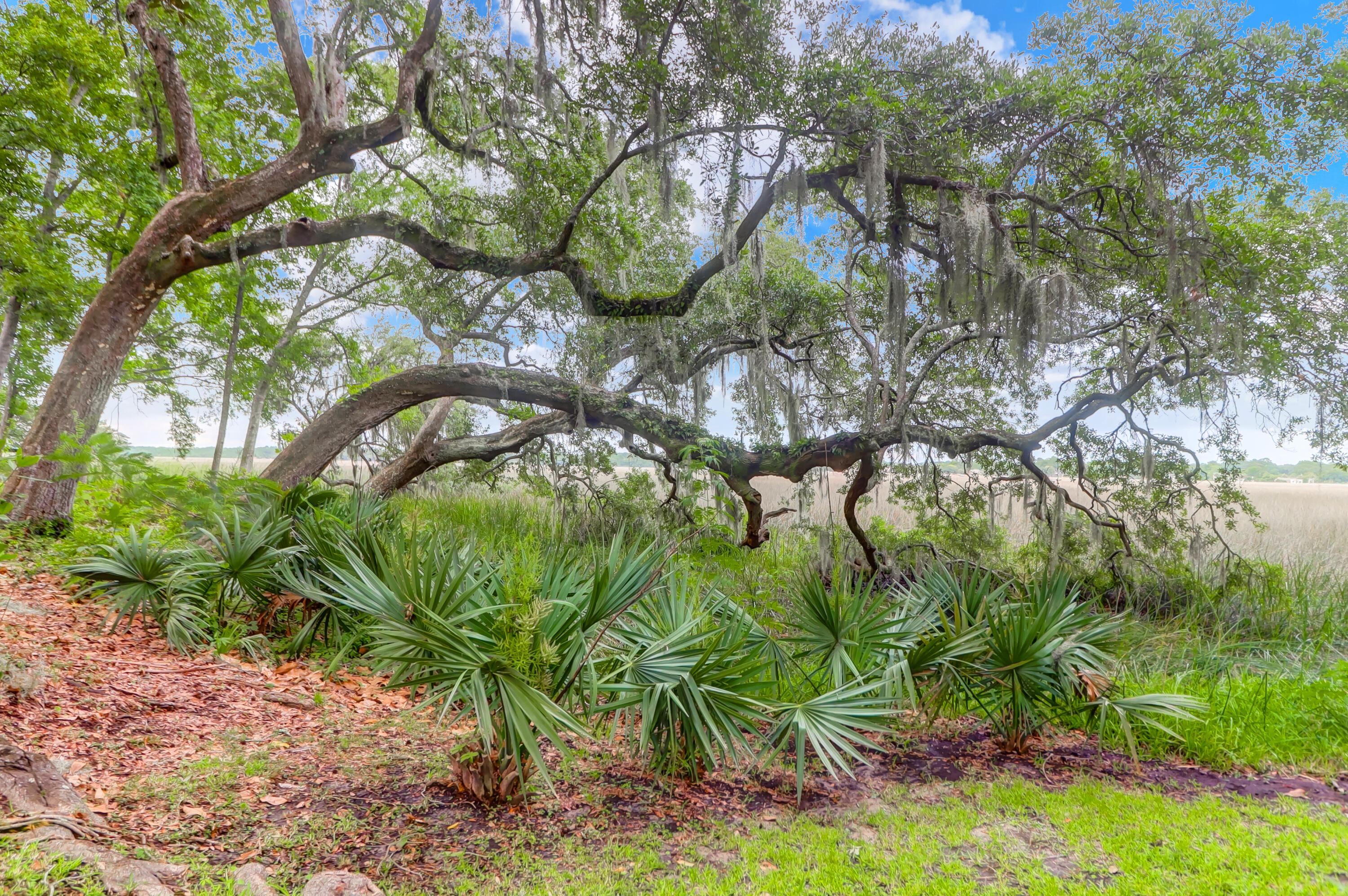406 Rhett Butler Drive Charleston, SC 29414 - Photo 44 of 52 Backyard & Marsh