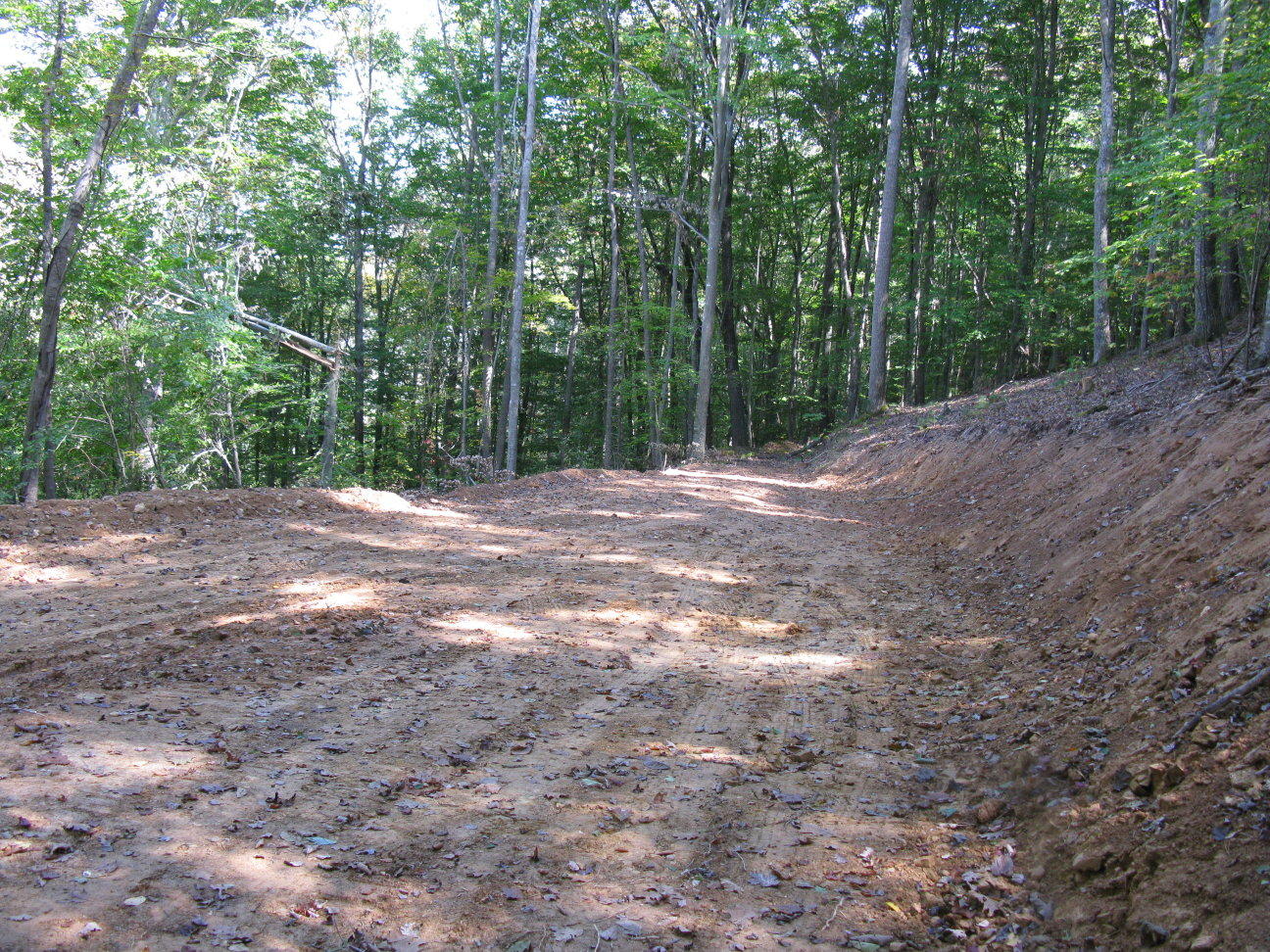Bluestone River Road Jumping Branch, WV 25969 - Photo 3 of 14 Gallery Image 3